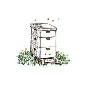 Sponsor Hardworking Honey Bees
